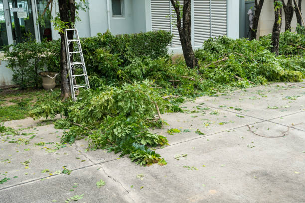 Best Storm Damage Tree Cleanup  in Stockton, KS